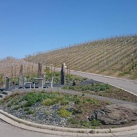Gæstehus Gaestehaus Am Schlossberg Bernkastel-Kues